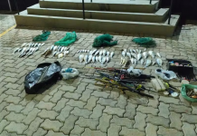 Guarda Municipal apreende mais de 17 quilos de peixes de espécies nativas em Itararé