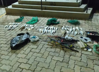 Guarda Municipal apreende mais de 17 quilos de peixes de espécies nativas em Itararé