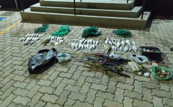Guarda Municipal apreende mais de 17 quilos de peixes de espécies nativas em Itararé