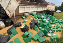 Operação policial incinera 9 toneladas de droga após maior apreensão do ano no interior de SP