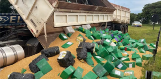 Operação policial incinera 9 toneladas de droga após maior apreensão do ano no interior de SP