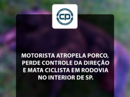 Motorista atropela porco, perde controle da direção e mata ciclista em rodovia no interior de SP