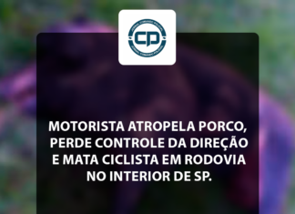 Motorista atropela porco, perde controle da direção e mata ciclista em rodovia no interior de SP