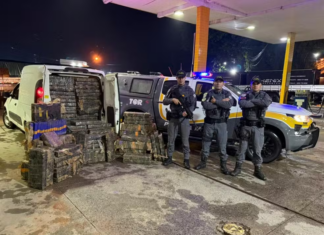 Casal é flagrado com quase 1 tonelada de maconha em Angatuba