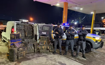 Casal é flagrado com quase 1 tonelada de maconha em Angatuba