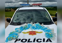 Polícia encontra 1,8 mil pinos de cocaína em táxi durante fiscalização em Buri