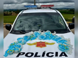 Polícia encontra 1,8 mil pinos de cocaína em táxi durante fiscalização em Buri