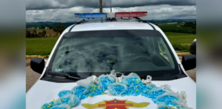 Polícia encontra 1,8 mil pinos de cocaína em táxi durante fiscalização em Buri