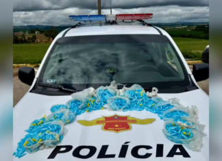 Polícia encontra 1,8 mil pinos de cocaína em táxi durante fiscalização em Buri