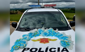 Polícia encontra 1,8 mil pinos de cocaína em táxi durante fiscalização em Buri