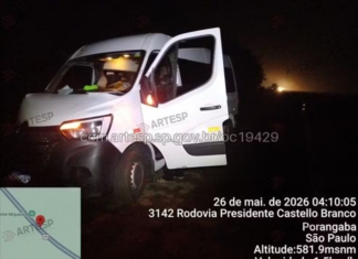 Cavalo morre após ser atropelado por van na Rodovia Castello Branco em Porangaba