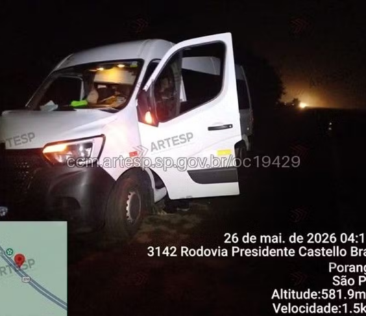 Cavalo morre após ser atropelado por van na Rodovia Castello Branco em Porangaba