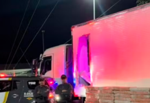 Carga de 1,5 tonelada de maconha é apreendida na rodovia Raposo Tavares