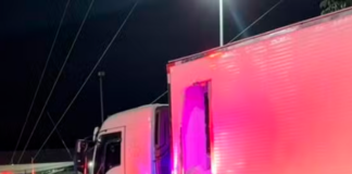 Carga de 1,5 tonelada de maconha é apreendida na rodovia Raposo Tavares