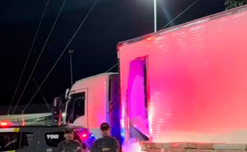 Carga de 1,5 tonelada de maconha é apreendida na rodovia Raposo Tavares